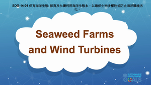 S-Ⅴ-14-01 Life Below Water: Seaweed Farms and Wind Turbines縮圖