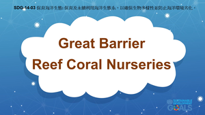 S-Ⅴ-14-03 Life Below Water: Great Barrier Reef Coral Nurseries縮圖