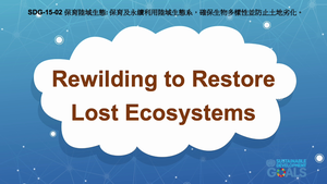 S-Ⅴ-15-02 Life on Land: Rewilding to Restore Lost Ecosystems縮圖