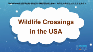 S-Ⅴ-15-03 Life on Land: Wildlife Crossings in the USA縮圖
