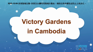 S-Ⅴ-15-04 Life on Land: Victory Gardens in Cambodia縮圖