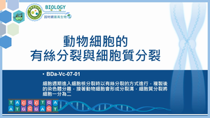 BDa-Vc-07-01_動物細胞的有絲分裂與細胞質分裂縮圖