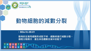 BDa-Vc-08-01_動物細胞的減數分裂縮圖