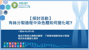 BDa-Vc-07-03_【探討活動】有絲分裂過程中染色體如何變化呢?縮圖