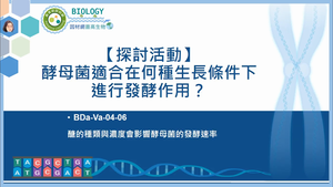 BDa-Va-04-06_【探討活動】酵母菌適合在何種生長條件下進行發酵作用？縮圖