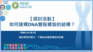 BMb-Va-06-02_【探討活動】如何建構DNA雙股螺旋的結構？縮圖