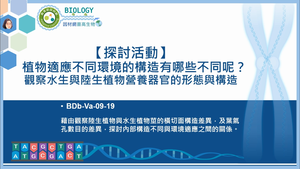 BDb-Va-09-19_【探討活動】植物適應不同環境的
構造有哪些不同呢？觀察水生與陸生植物營養器官的形態與構造縮圖