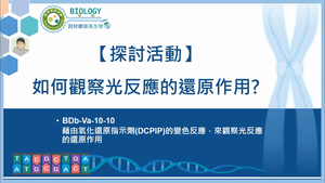 BDb-Va-10-10_【探討活動】如何觀察光反應的還原作用?縮圖