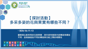 BDb-Va-11-13_【探討活動】多采多姿的花與果實有哪些不同？探討花與果實的多樣性縮圖