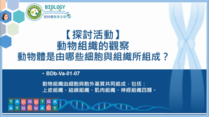 BDb-Va-01-07_【探討活動】動物體是由哪些細胞與組織所組成？動物組織的觀察縮圖