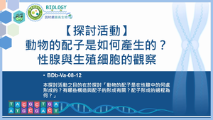 BDb-Va-08-12_【探討活動】動物的配子是如何產生的？性腺與生殖細胞的觀察縮圖