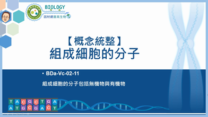 BDa-Vc-02-11_【概念統整】組成細胞的分子縮圖