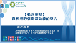 BDa-Vc-02-14_【概念統整】真核細胞構造與功能的整合縮圖