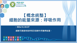 BDa-Vc-04-07_【概念統整】細胞的能量來源：呼吸作用縮圖