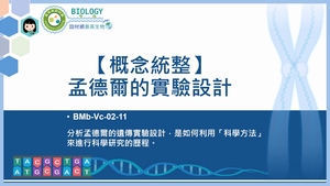 BMb-Vc-02-11_【概念統整】孟德爾的實驗設計縮圖