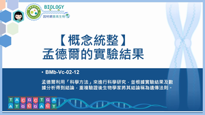 BMb-Vc-02-12_【概念統整】孟德爾的實驗結論縮圖