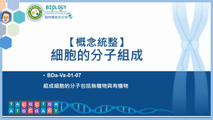 BDa-Va-01-07_【概念統整】細胞的分子組成縮圖