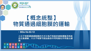 BDa-Va-02-12_【概念統整】物質通過細胞膜的運輸縮圖