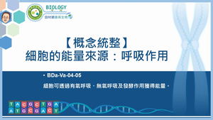 BDa-Va-04-05_【概念統整】細胞的能量來源：呼吸作用縮圖