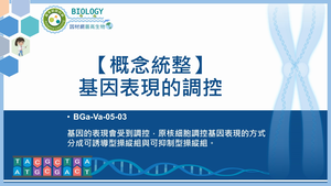 BGa-Va-05-03_【概念統整】基因表現的調控縮圖