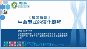 BGb-Va-04-03_【概念統整】生命型式的演化歷程縮圖