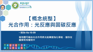 BDb-Va-10-09_【概念統整】光合作用：光反應與固碳反應縮圖