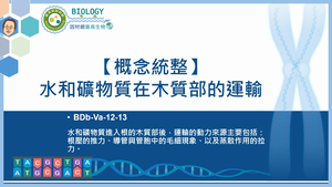 BDb-Va-12-13_【概念統整】水和礦物質在木質部的運輸縮圖