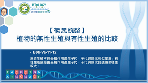 BDb-Va-11-12_【概念統整】植物的無性生殖與有性生殖的比較縮圖