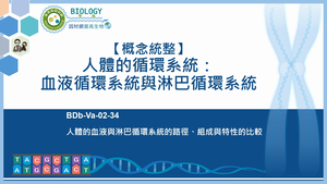 BDb-Va-02-34_【概念統整】人體的循環系統：血液循環系統與淋巴循環系統縮圖