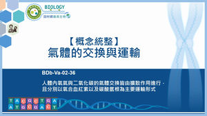 BDb-Va-02-36_【概念統整】氣體的交換與運輸縮圖