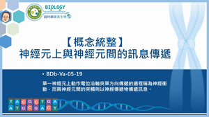 BDb-Va-05-19_【概念統整】神經元上與神經元間的訊息傳遞縮圖