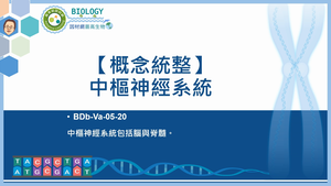 BDb-Va-05-20_【概念統整】中樞神經系統縮圖
