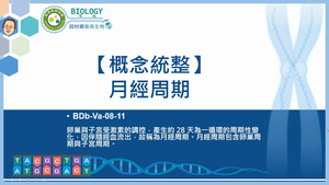 BDb-Va-08-11_【概念統整】月經周期縮圖
