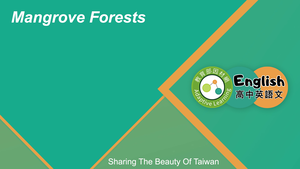 EZ-C-10-03 Mangrove Forests-資源代表圖