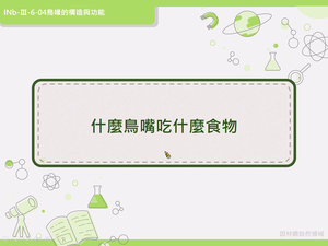 INb-Ⅲ-6-04-資源代表圖