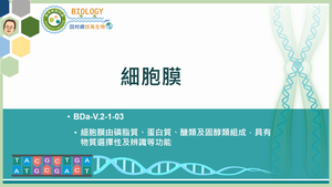 BDa-V.2-1-03_細胞膜縮圖