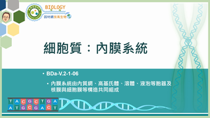 BDa-V.2-1-06_細胞質：內膜系統縮圖