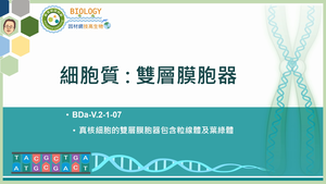 BDa-V.2-1-07_細胞質：雙層膜胞器縮圖