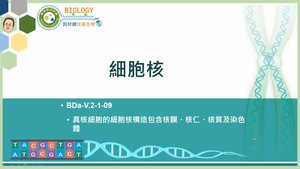 BDa-V.2-1-09_細胞核縮圖