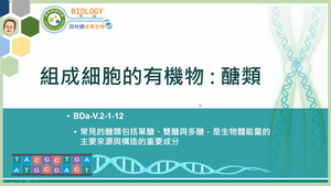BDa-V.2-1-12_組成細胞的有機物：醣類縮圖