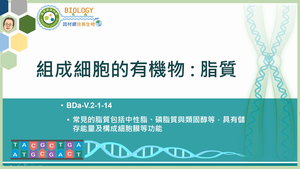 BDa-V.2-1-14_組成細胞的有機物：脂質縮圖