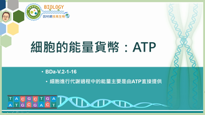 BDa-V.2-1-16_細胞的能量貨幣---ATP縮圖