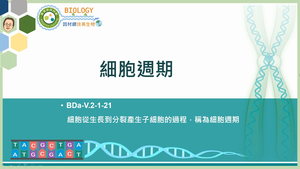 BDa-V.2-1-21_細胞週期縮圖