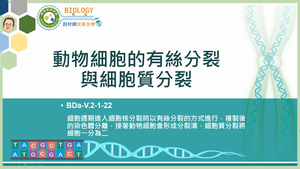 BDa-V.2-1-22_動物細胞的有絲分裂與細胞質分裂縮圖