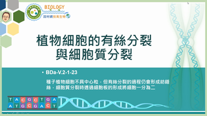 BDa-V.2-1-23_植物細胞的有絲分裂與細胞質分裂縮圖