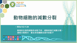 BDa-V.2-1-24_動物細胞的減數分裂縮圖