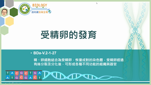 BDa-V.2-1-27_受精卵的發育縮圖