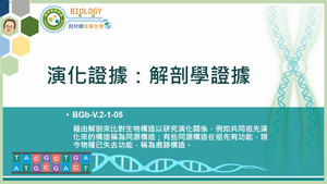 BGb-V.2-1-05_演化證據：解剖學證據縮圖