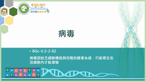 BGc-V.2-2-02_病毒縮圖