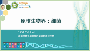 BGc-V.2-2-03_原核生物界：細菌縮圖